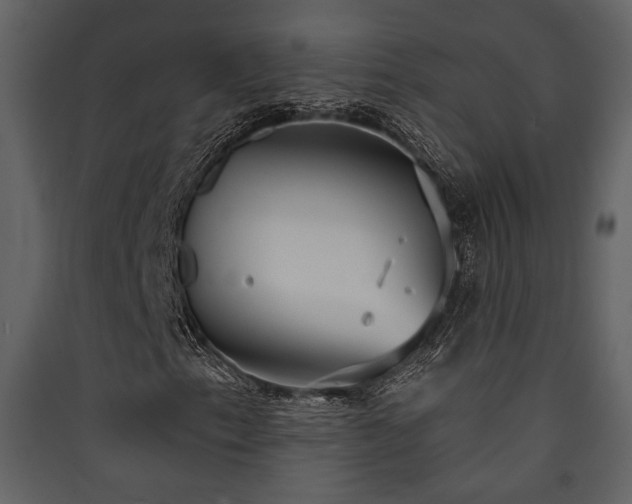 X0000090421153200707131202