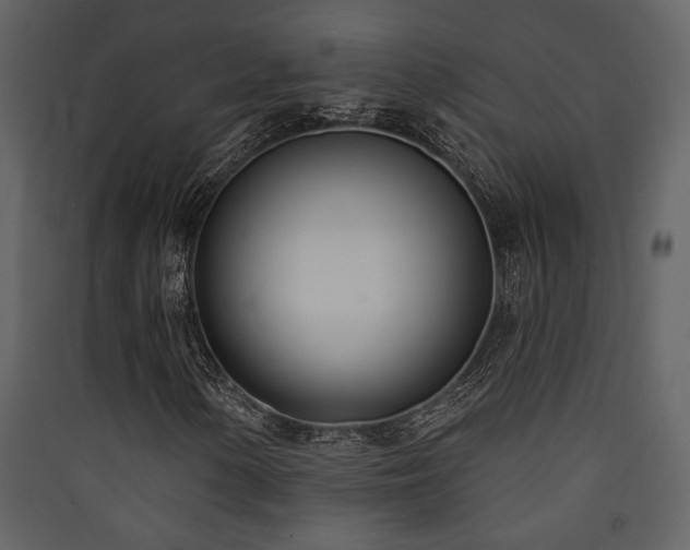 X0000090421154200707131202