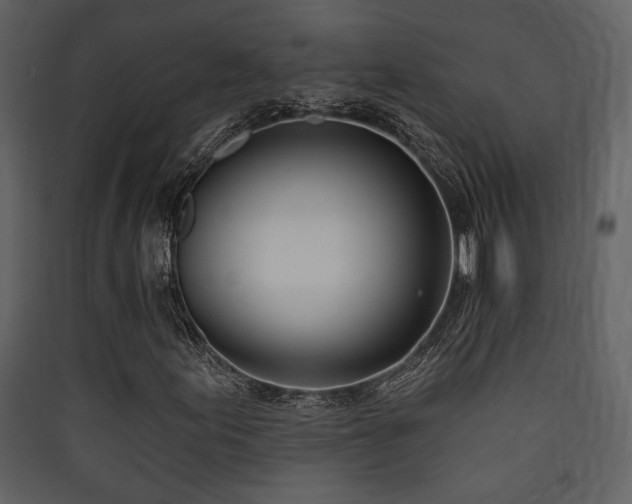 X0000090421155200707131202