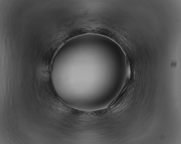 X0000090421156200707131202