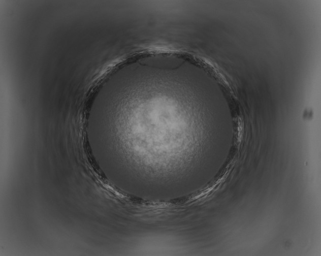 X0000090421157200707131202