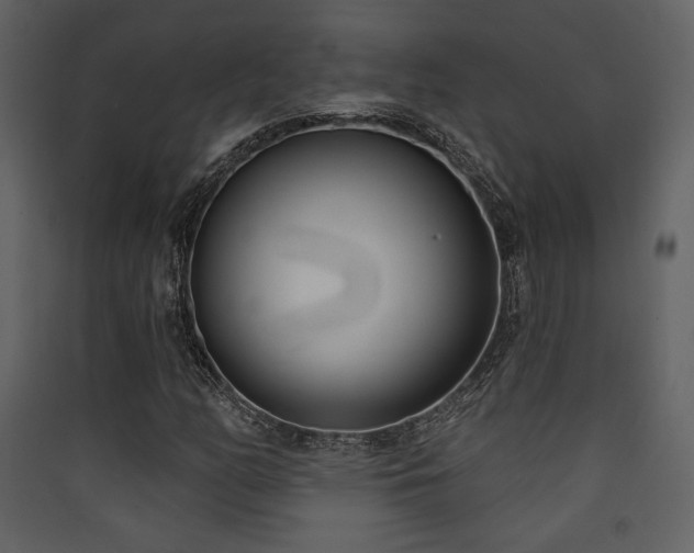 X0000090421158200707131202