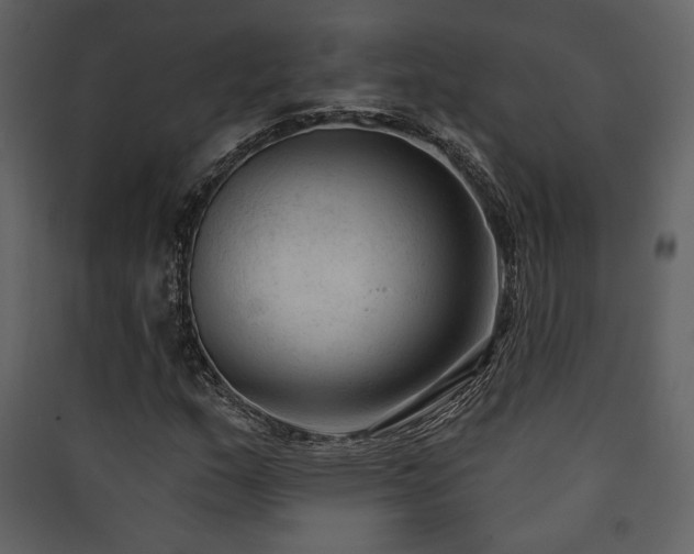 X0000090421159200707131202