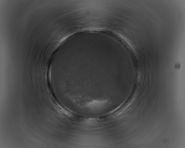 X0000090421161200707131202