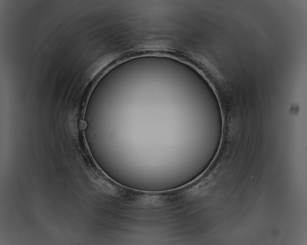 X0000090421162200707131202