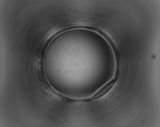 X0000090421163200707131202