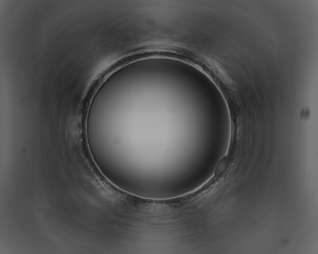 X0000090421164200707131202