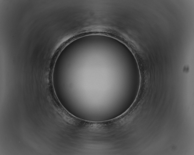 X0000090421166200707131202