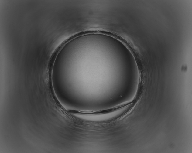 X0000090421167200707131202