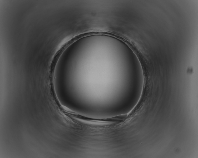 X0000090421168200707131202