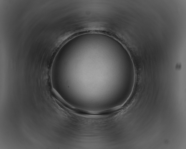 X0000090421169200707131202
