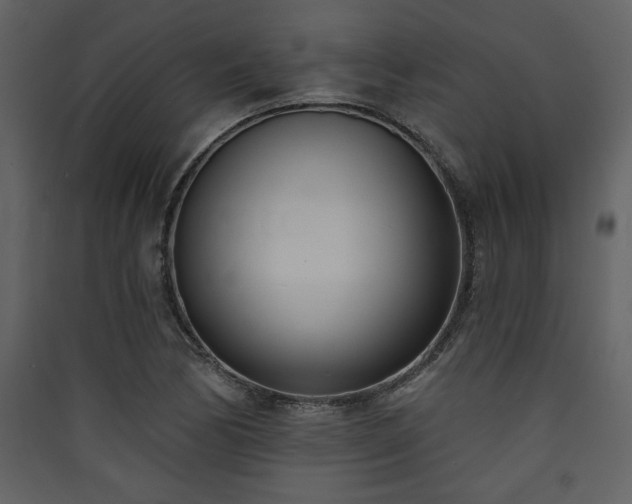 X0000090421170200707131202