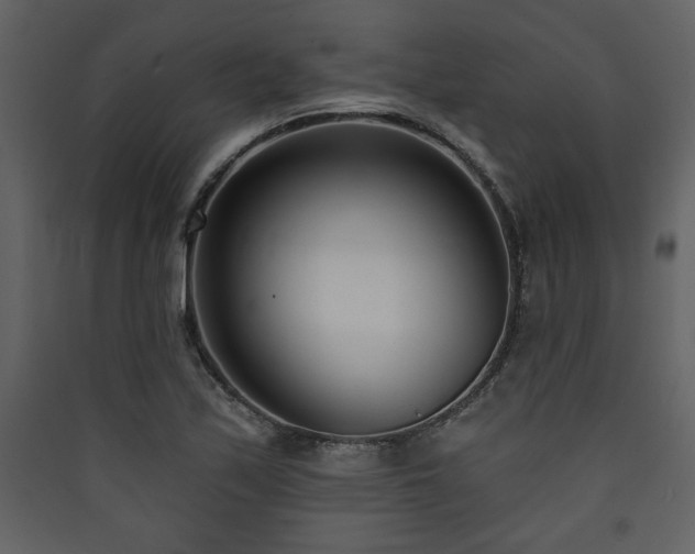X0000090421171200707131202