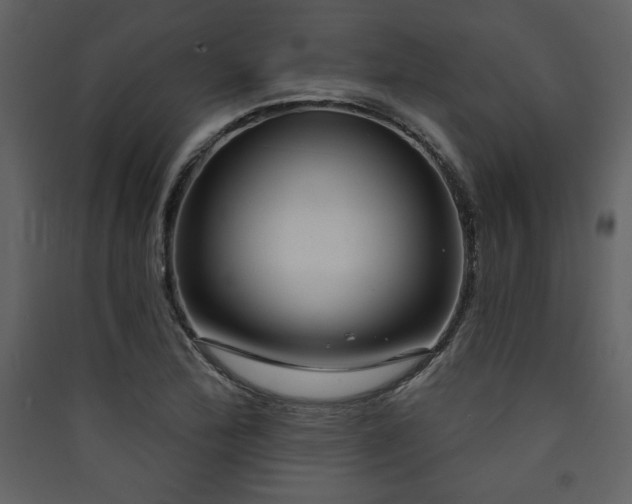 X0000090421172200707131202