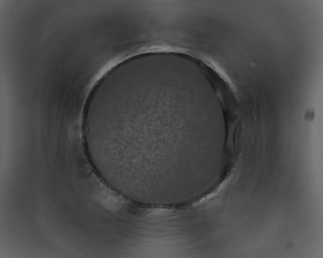X0000090421173200707131202