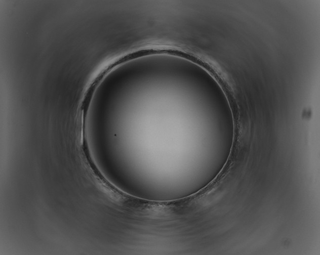 X0000090421175200707131202
