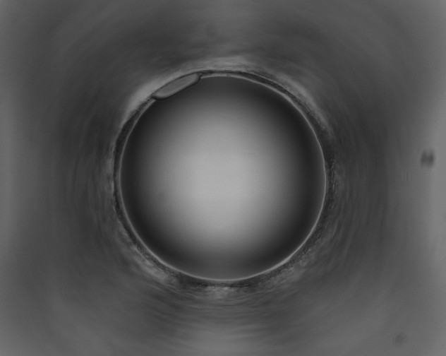 X0000090421176200707131202