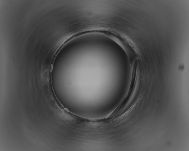 X0000090421177200707131202