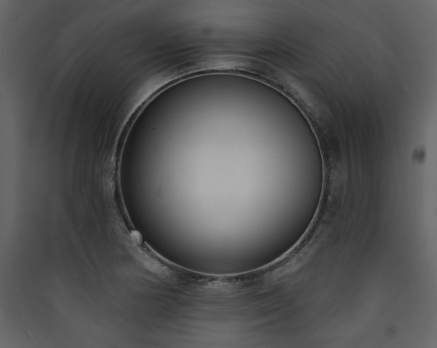 X0000090421178200707131202