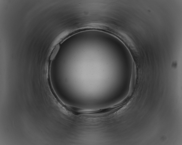 X0000090421180200707131202