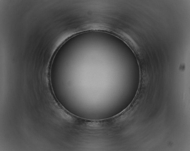 X0000090421182200707131202