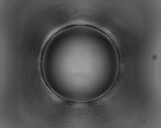 X0000090421183200707131202