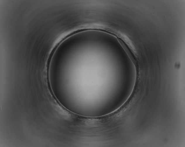 X0000090421184200707131202