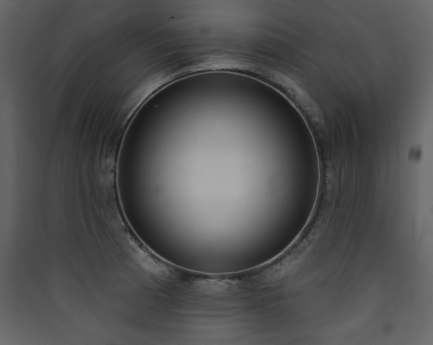 X0000090421185200707131202