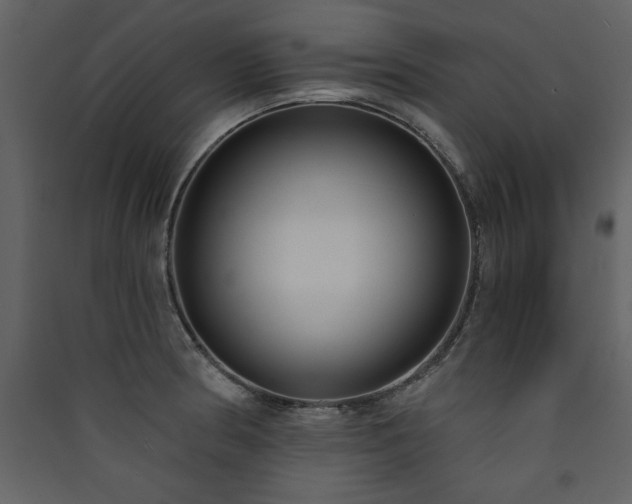 X0000090421186200707131202
