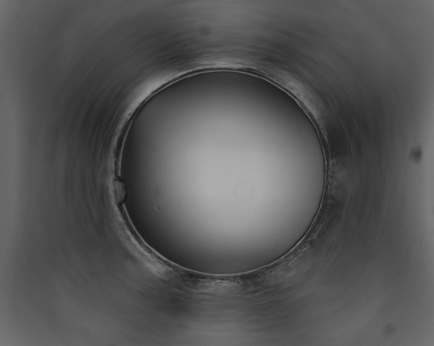X0000090421187200707131202