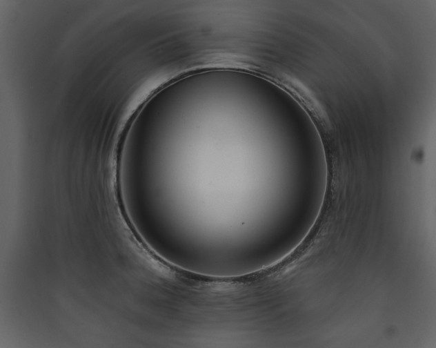 X0000090421188200707131202