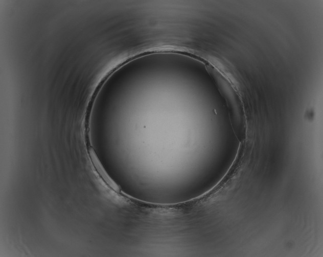 X0000090421189200707131202