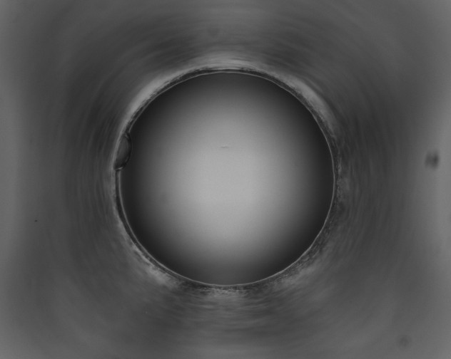 X0000090421191200707131202