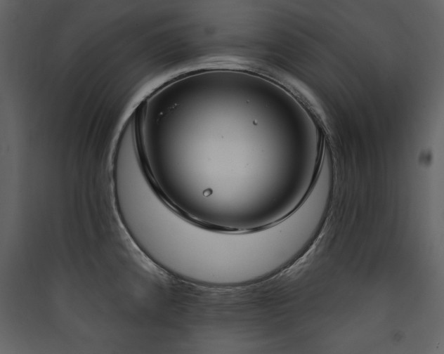 X0000090421192200707131202