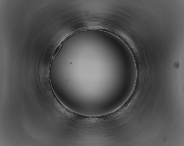 X0000090421193200707131202