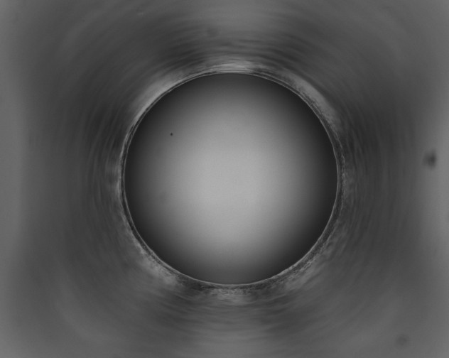 X0000090421194200707131202
