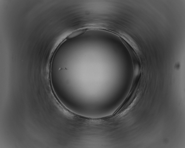 X0000090421196200707131202