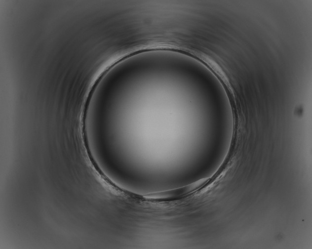 X0000090421197200707131202