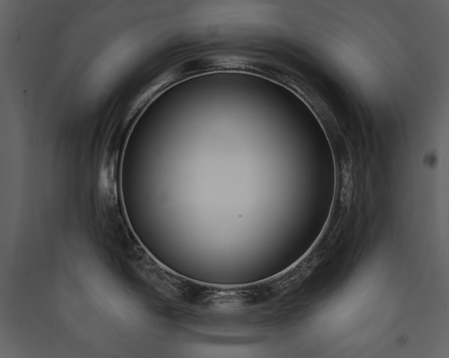 X0000090421198200707131202