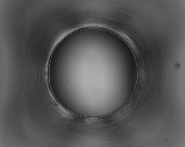 X0000090421199200707131202