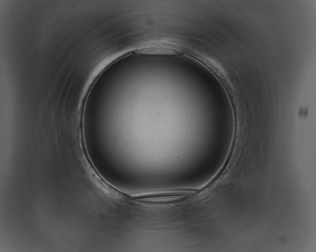 X0000090421200200707131202