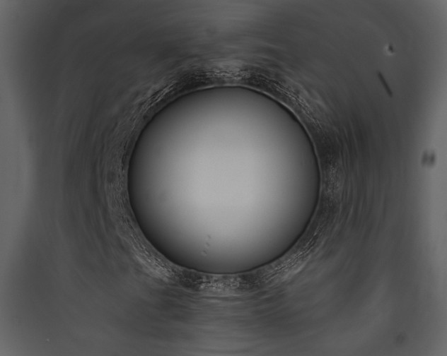 X0000090421201200707131201