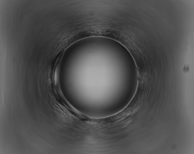 X0000090421202200707131201