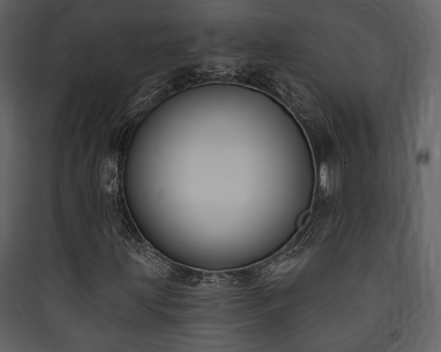X0000090421203200707131201