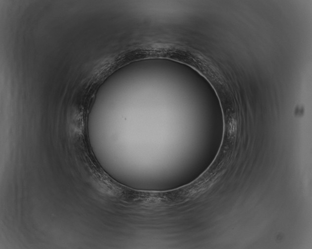 X0000090421204200707131201