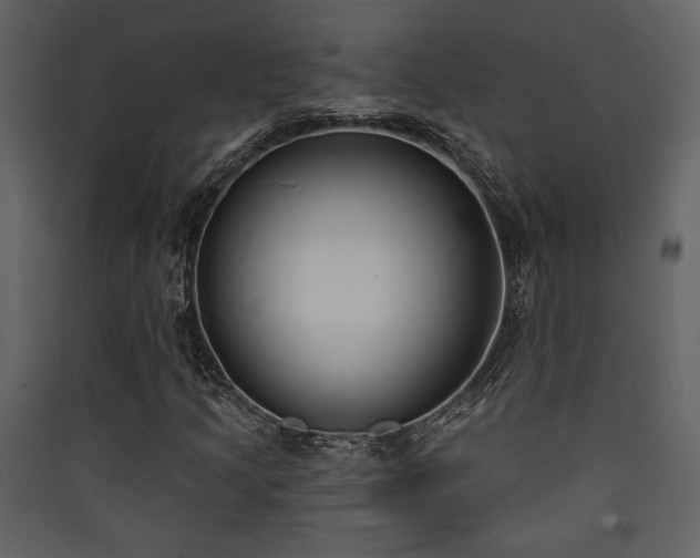 X0000090421205200707131201