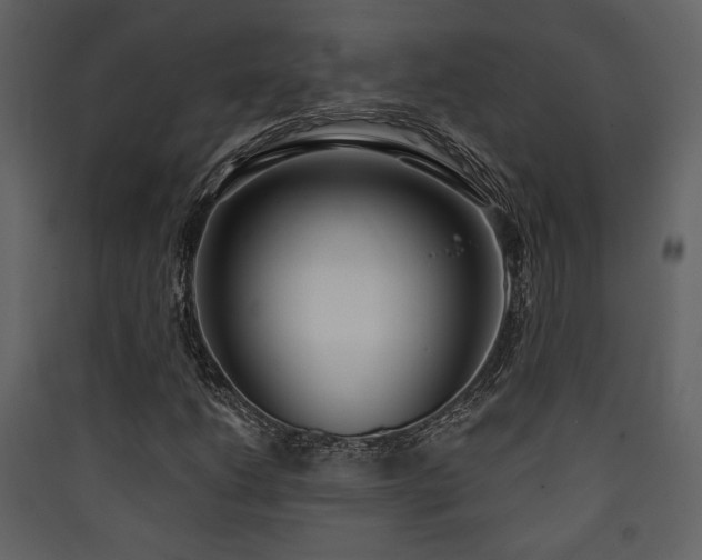 X0000090421206200707131201