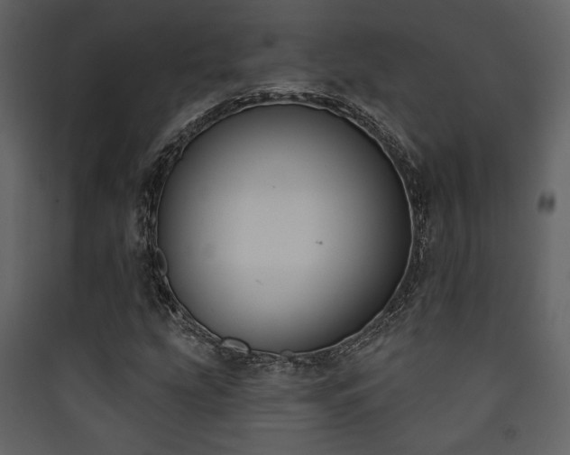 X0000090421207200707131201