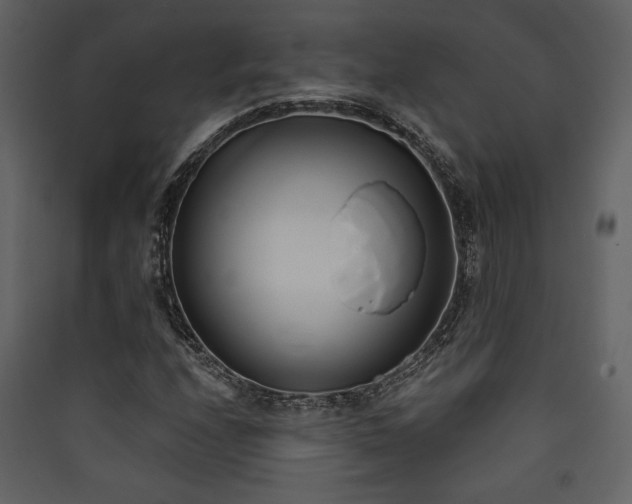 X0000090421208200707131201