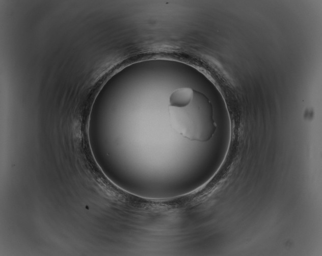 X0000090421209200707131201